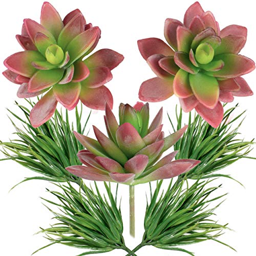 Seeko Succulents - Premium Fake Succulent Pack - Fills 5-6" Pots And Planters With Realistic Fake Succulents And Artificial Grass Accent Pieces (Red/Green) #TOP5