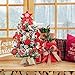 WBHome 1.8 Feet Pre-lit & Pre-Decorated Tabletop Christmas Tree, Red White Ornament Decorations with Pine Cones, Snow Flocked Mini Christmas Tree with Lights, 35 Bulbs (1.8FT)
