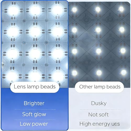 Lámina LED Flexible 24V 5000K para Iluminación de Pared miniatura 2