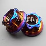 2個入 M10 x 1.25 チタン 六角 ナット フランジ レインボー 焼き色 自転車 オートバイ 改装 改造 Titanium Ti 龜旅製作所