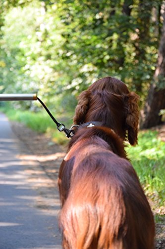 dobar® 62000 Walky Dog Plus Hunde Fahrradleine - Abstandhalter aus Edelstahl - Fahrradhalter mit Dreifach-Rückdämpfer - Zugkraftleine mit Quicklock und Abstandhalter - 37.5 cm - Silber