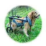 Pet Trolley Adjustable Hind Leg Disabled Dog Mobility Aid Light Rehabilitation Legs Wheelchair Walk Tools(Medium)