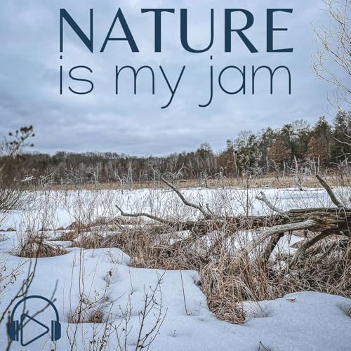 Barred Owl Mating Season in Northern Michigan