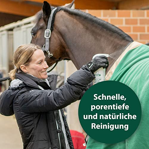 Equisept Rimozione di Sporco e odori, Pronto