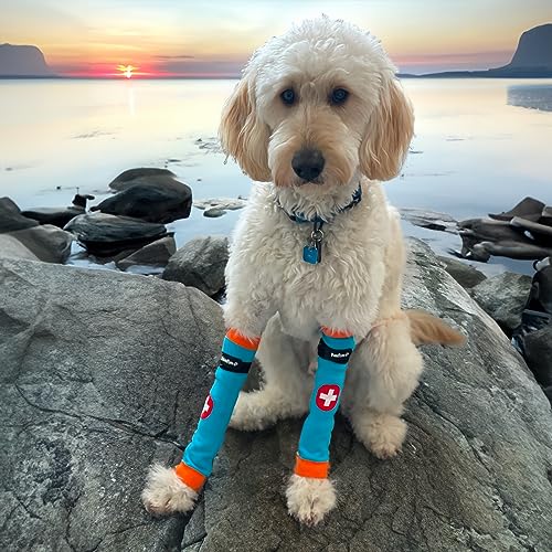 Image of PawFlex Comfy Pawz Cotton Nonslip Protective Leggings for Dogs | Medical Pet Sleeve for Dogs Legs with Non-Slip Silicone Grip at Inner Cuffs and Adjustable Strap for No Twisting or Sliding Down