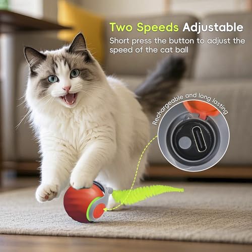 Petrendy Speedy Tail Cat Toy 2.0, brinquedo interativo para gatos internos entediados, bola de brinq
