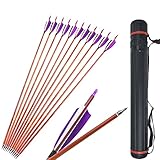 Material: ejes de flechas de fibra de carbono compuesta, plumas de pavo naturales, puntas de flecha reemplazables de 100 granos