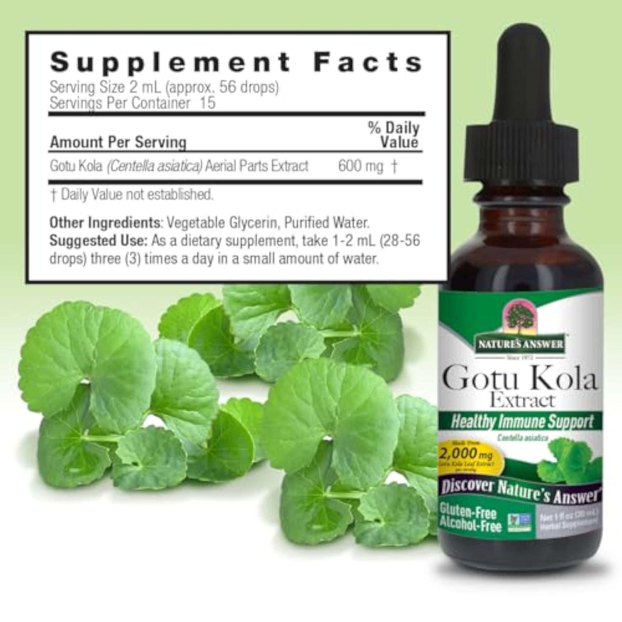 Gotu Kola Alcohol-Free Extract - 1 fl oz