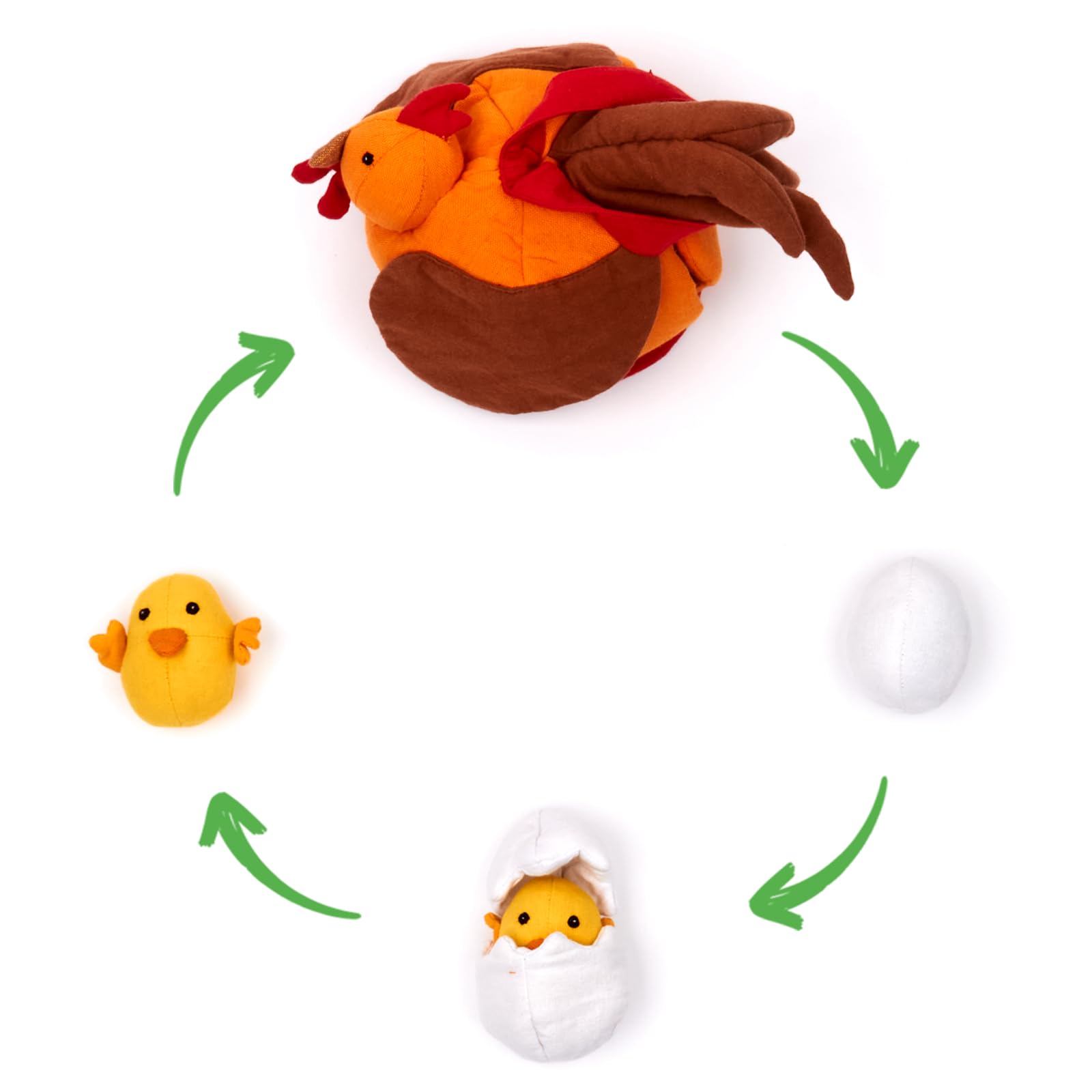 Hagemann Stoffmodell Lebenszyklus Huhn mit Küken – Set, 8-teilig, Außenstoff Fairtrade Bio-Baumwolle | 3 Eier zum Öffnen und Herausnehmen der Küken, Küken & Huhn steckbar | Pädagogisches Lernspielzeug
