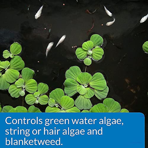 API-POND-ALGAEFIX-Algae-Control-32-Ounce-Bottle-FISHAQUARI-169G API POND ALGAEFIX Algae Control 32 Ounce Bottle FISHAQUARI 169G