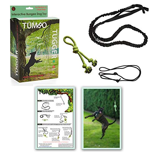 Tumbo Tugger Outdoor Hanging Doggie Bungee Rope Toy, Large