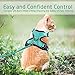 rabbitgoo Cat Harness and Leash for Walking, Escape Proof Soft Adjustable Vest Harnesses for Cats, Easy Control Breathable Reflective Strips Jacket, Emerald, XS