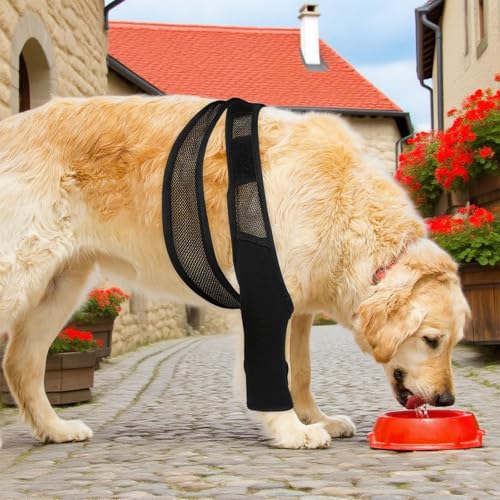 Shwdsy Gummi Verband Hund, Verstellbar Leckschutz Hund Hinterbein, Schwarz Hundebeinschutz, zur Stützung und zum Schutz der Vorder- und Hinterbeine von Hunden