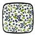 4PCS solides boutons d'armoire de cuisine armoire à tiroirs carrés poignées tire Watercolor Blueberry Fruits Leaves 30mm