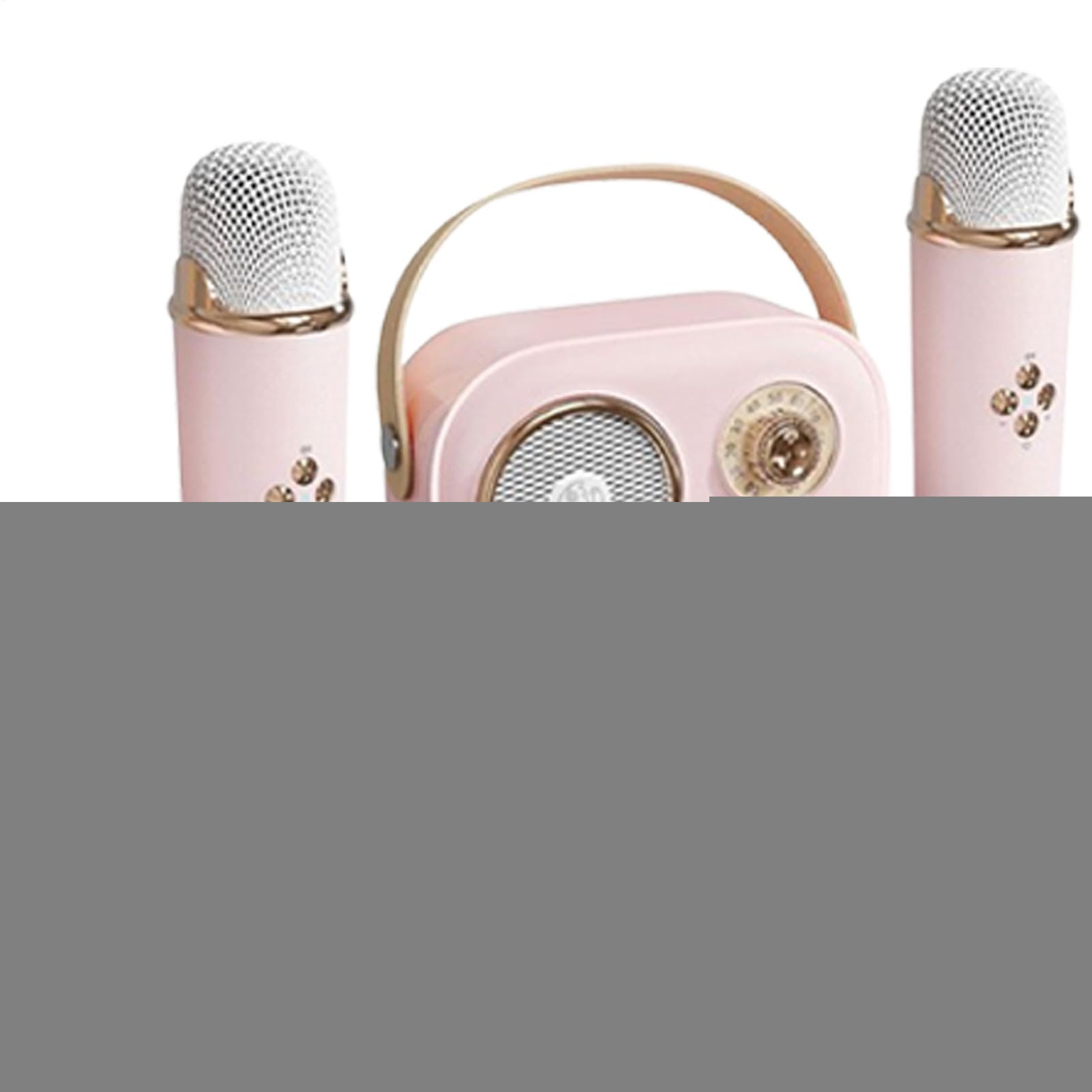 Set microfono per karaoke per bambini, karaoke con due microfoni | set di altoparlanti portatili per l'intrattenimento domestico con cavo di ricarica