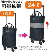 スワニー　キャリーバッグ スワニー SWANY キャリーバッグ ソフト 機内持ち込み ゼブラ