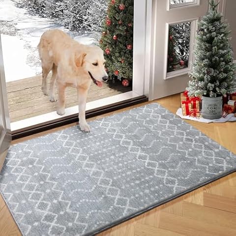 ONASAR Moroccan Area Rug, 2x3 Machine Washable Entryway Rug Indoor Door Mat Non-Slip Kitchen Rug Boho Bedroom Rug, Small Vintage Throw Rug for Laundry Room Dorm Kitchen Mat (Grey/White) Cover