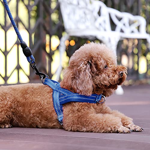 Image of Plutus Pet No Pull Dog Harness for Small Dogs, Breathable Mesh Padded