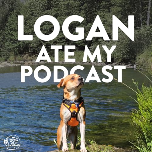 Finding Confidence with Logan the Adoptable Mixed Pup