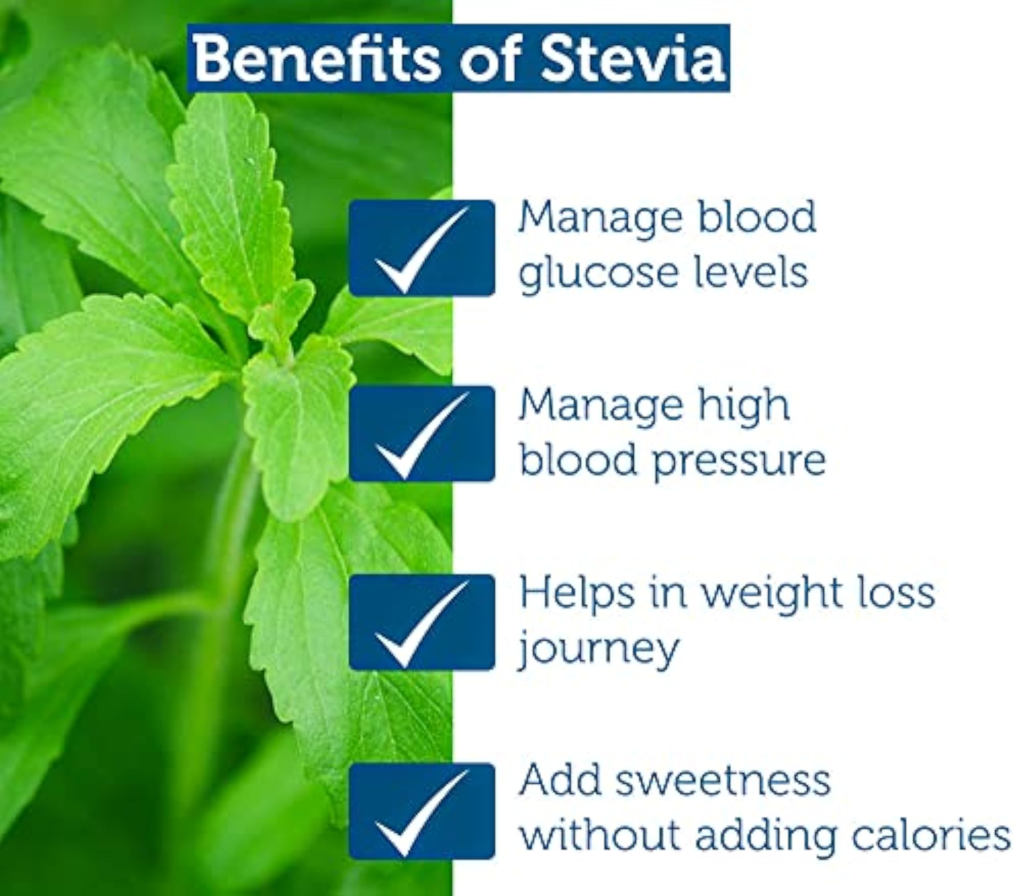 Real Divine Stevia Liquid Drops, Zero Calorie Sweetener