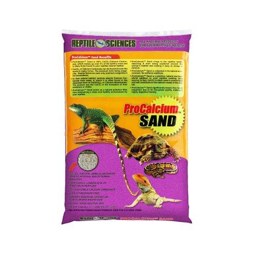 17 Best Bearded Dragon Sands in 2020 (Reviews and Guides)