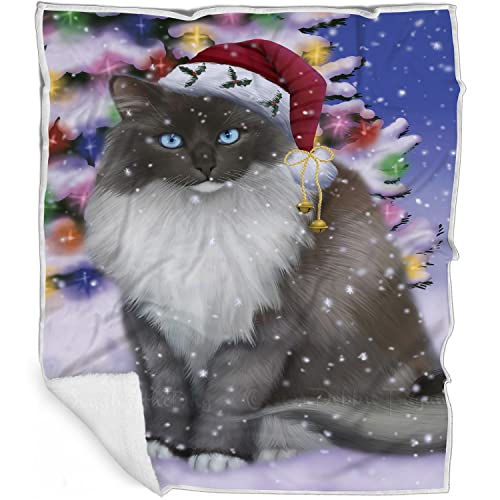 Doggie of the Day Ragdoll Cat Blanket - Christmas Winterland Wonderland - Super Soft & Warm Pet Theme for Sofa or Bed, Warm Fleece, Sherpa or Woven Material, BLNKT89246 (50x60 Woven)