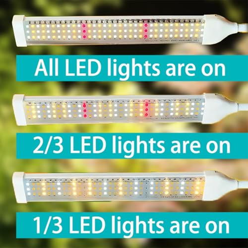Pflanzenlampen LED Vollspektrum, Pflanzenleuchte Pflanzenlicht mit Ständer Pflanzen LED Wachstumslampe für Pflanzen mit Zeitschaltuhr 3… – Ansicht 2