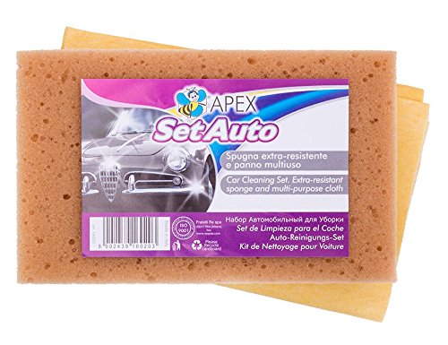 APEX CAR CLEANING SET