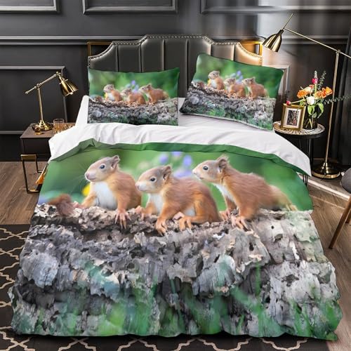 DAZBDEOCK Juego de ropa de cama de 3 piezas con estampado 3D para decoración de dormitorio, con cremallera, súper suave, funda de edredón lavable hipoalergénica para niños, adultos, jóvenes