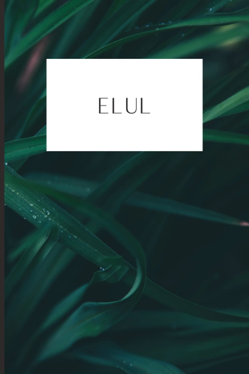 Hebrew Month Prayer Journal: Elul: Paperback, 120 Pages (Hebrew Month Prayer Journal: Spiritual Growth Series (Set of 12 Journals))
