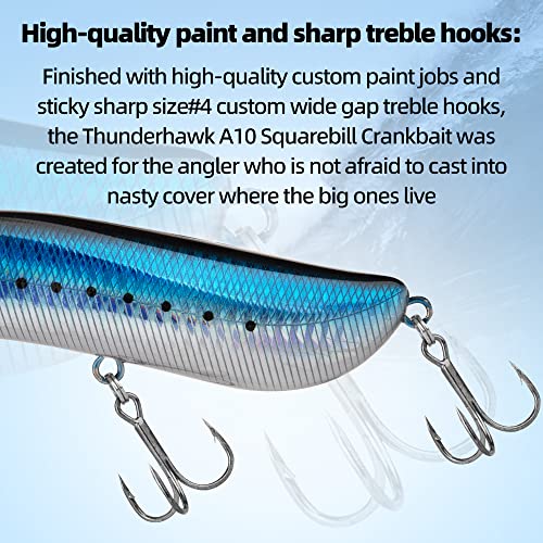 Thunder Hawk Shadow Walker (Sail) Topwater Popper Fishing Lures Crankbait 6 Inches Hard Bait Saltwater Fishing Lures Unique Plopping Sound Walk Side To Side #TOP5