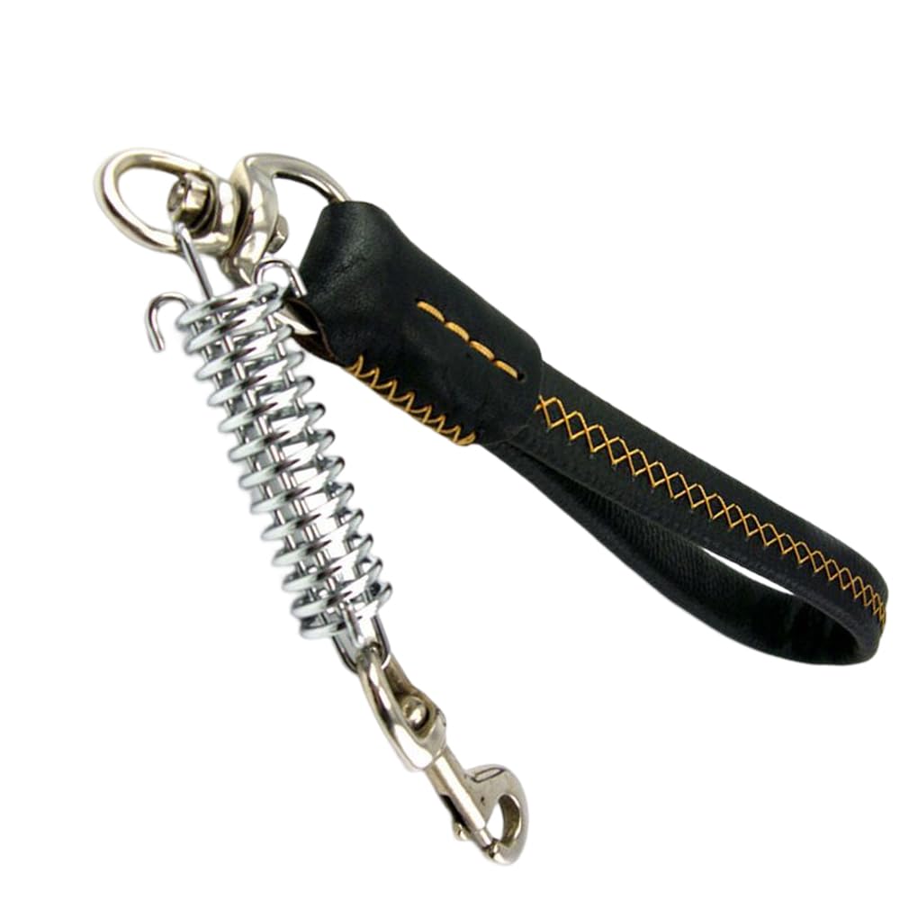 Juego de 10 correas para perro, suministros para mascotas, accesorios exquisitos para exteriores, estructura firme de alta resistencia, ajustable, gancho profesional para cinturón