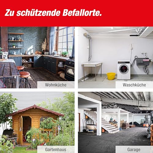 SWISSINNO Rattenfalle Schlagfalle SuperCat für Ratten mit Köder – Extra Starke, Wiederverwendbare mit Erdnussbutter-Lockstoff – Hygienisch & sofort einsatzbereit - 1 Falle