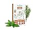 Puressentiel Muscles & Joints Heating Patches with 14 Essential Oils - Relieves Muscle Tension - 8 Hours Heating Action - Odorless, Comfortable and Adaptable - Epidermal Penetration - 3 Patches