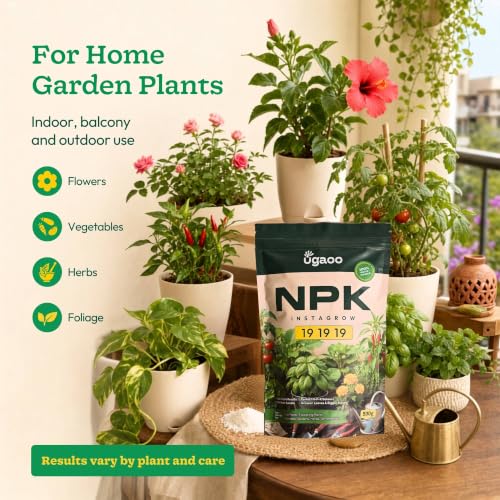Image of Ugaoo InstaGrow NPK 19:19:19 Fertilizer (500g) Powder| Water-Soluble Plant Food for Growth, Flowering & Fruiting | Balanced NPK for Indoor & Outdoor Plants