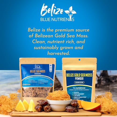 Belize Blue Nutrients – Gold Sea Moss Powder – 100% Pure Sustainably Harvested Eucheuma Cottonii from Belize – Mineral-Rich Superfood for Energy, Gut & Immune Support - 4 Oz - Image 8