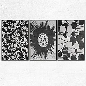 SIGNWIN 3 Piece Framed Canvas Wall Art Black...