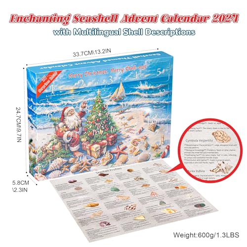 Image of Advent Calendar 2024 Crystals for Kids with 24 Days Christmas Countdown Surprises, Natural Mineral & Rock Stone for Learning, Collection, Scientific Gift for Girls & Boys & Geology Enthusiasts (Seashell Advent Calendar 2024)