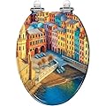 Elongated Toilet Seat Vernazza village church buildings aerial view Cinque Terre Resin Toilet Seat Slow Quiet Close Lid with Quick-Release Hinges Cover Bumpers Easy to Clean Install