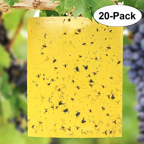 Negarly 20-Pack Dual-Sided Yellow Sticky Traps for Flying Plant Insect Like Fungus Gnats