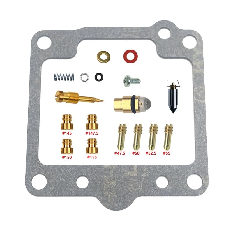 Kit carburateur LS650 BST40 pour réfection complète suite à un long hivernage