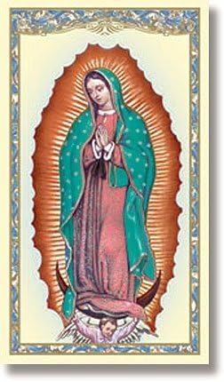 Our Lady of Guadalupe (Mystical Rose) - Powerful and Miraculous Prayer Card (10 pack)