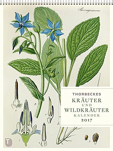 Thorbeckes Kräuterkalender 2017 - Wochenkalender mit 56 Blättern