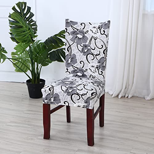 Image of House of Quirk Elastic Chair Cover Stretch Removable Washable Short Dining Chair Cover Protector Seat Slipcover (Pack of 1, White /Grey Flower)