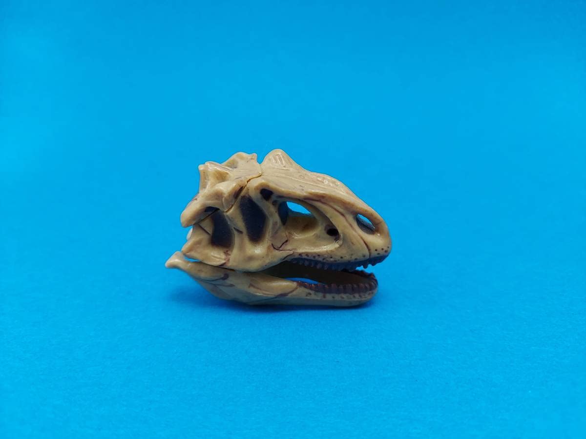 海洋堂 DINOTALES アロサウルス 恐竜 フィギュア 2体セット 海洋堂 DINOTALES アロサウルス 恐竜 フィギュア 2体セット