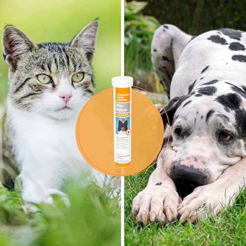 Alfavet Dia Tab® Dia-Röhre | 1 x 12 à 5,5 g | Diät-Ergänzungsfuttermittel für Hunde und Katzen