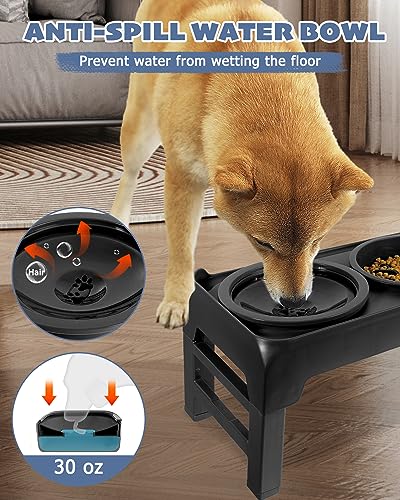 Erhöht Hundenapf, Höhenverstellbarer Napfständer mit Langsamer Feeder Schüssel und Wassernapf Ohne Sabbern Set, Futternapf Hund Wassernapf für Großen Mittel Kleinen Hunde Katzen und Haustiere