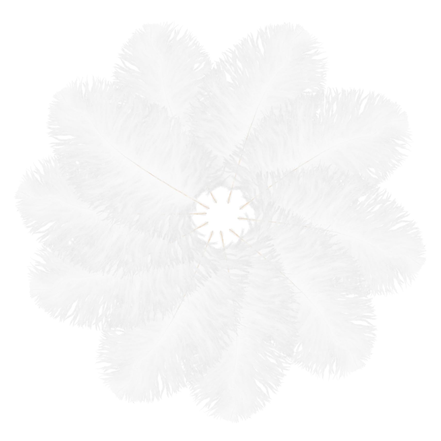 DOITOOL 10Pcs Ostrich Plumes for Wedding and Elegant DIY Craft Accessories for Centerpieces Flower Arrangements and Unique Adornments