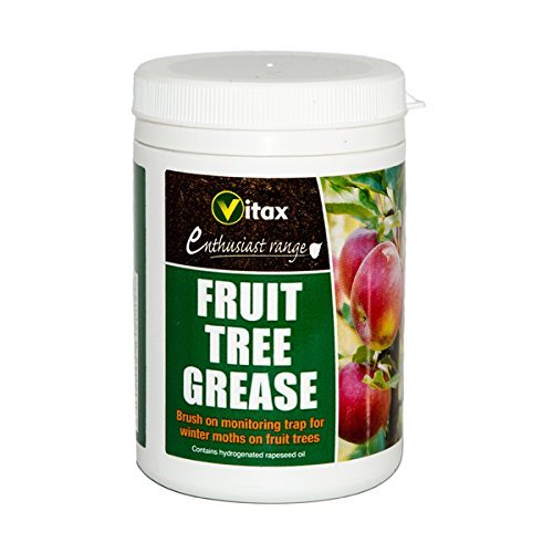 3X Vitax 200g Fruit Tree Grease