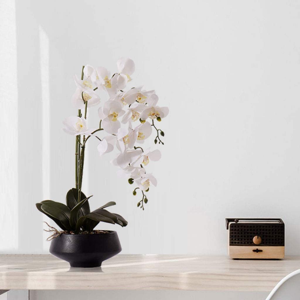 Bellissime Orchidee Fiori Artificiali Orchidee Bianche Fiori Artificiali Fiori Finti al Tatto Reali Composizione Floreale di Phalaenopsis in Seta con Vaso di Fiori,